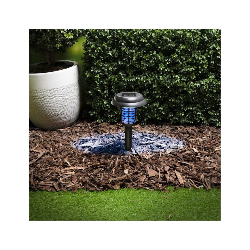 Grundig - Соларна LED лампа и капан за насекоми UV LED/1xAA 600 mAh IPX4