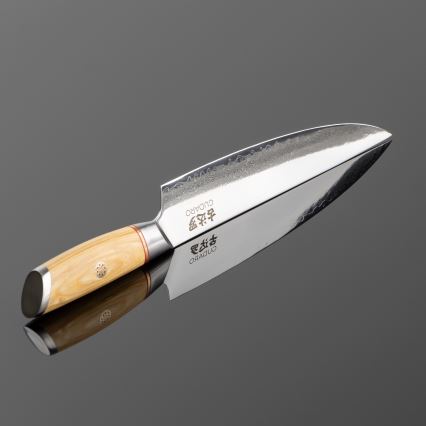 Gudaro - Дамасков нож за порциониране HIKARI 8, с 67 слоя стомана, дължина 20 cm