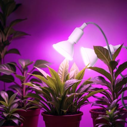 Гъвкав настолна лампа с щипка за отглеждане на растения PLANTY 2xE27/30W/230V бял