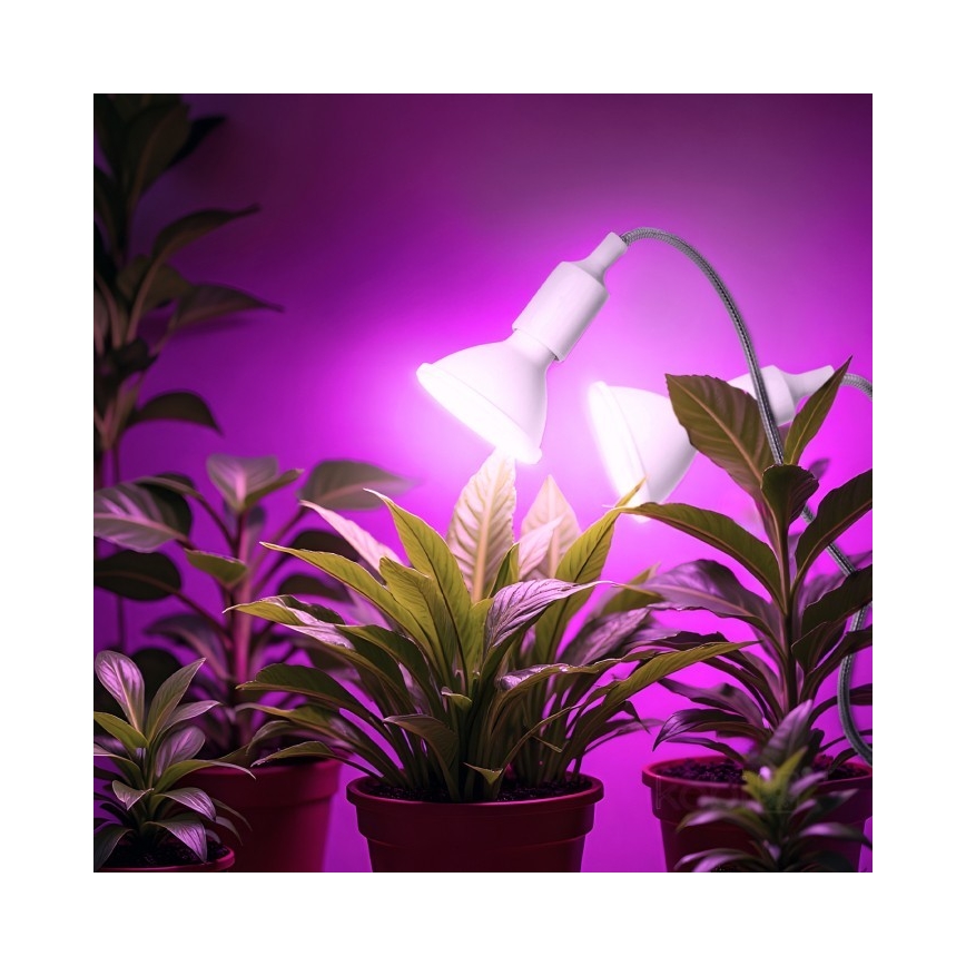 Гъвкав настолна лампа с щипка за отглеждане на растения PLANTY 2xE27/30W/230V бял