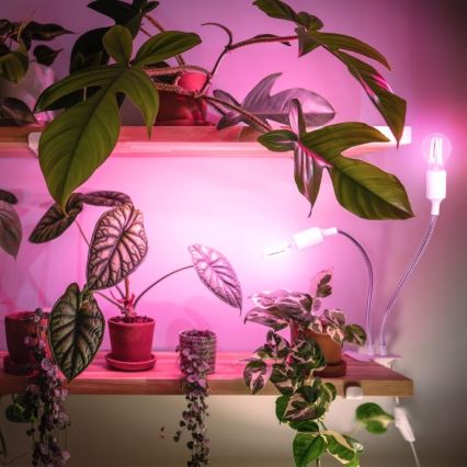 Гъвкав настолна лампа с щипка за отглеждане на растения PLANTY 2xE27/30W/230V бял