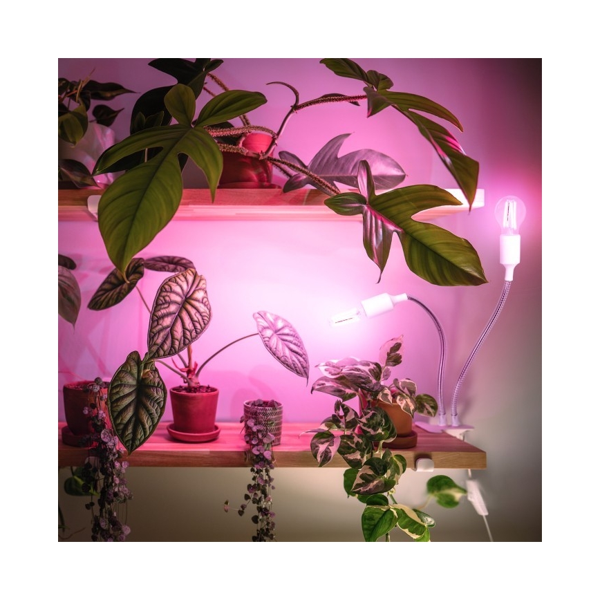 Гъвкав настолна лампа с щипка за отглеждане на растения PLANTY 2xE27/30W/230V бял
