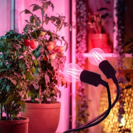 Гъвкав настолна лампа с щипка за отглеждане на растения PLANTY 2xE27/30W/230V черен