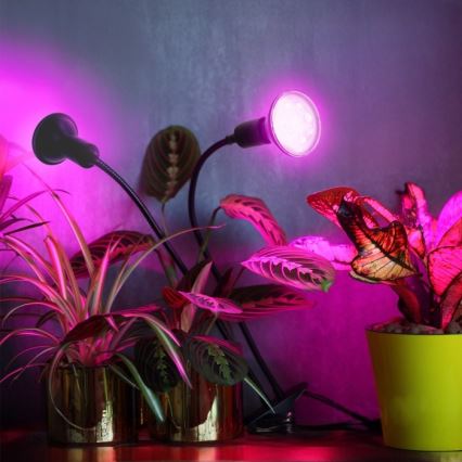 Гъвкав настолна лампа с щипка за отглеждане на растения PLANTY 2xE27/30W/230V черен