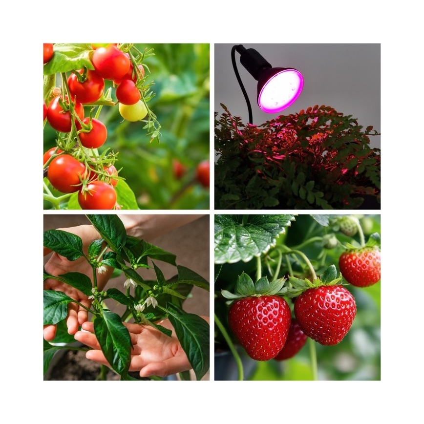 Гъвкава настолна лампа с клипс за отглеждане на растения PLANTY 1xE27/30W/230V черна