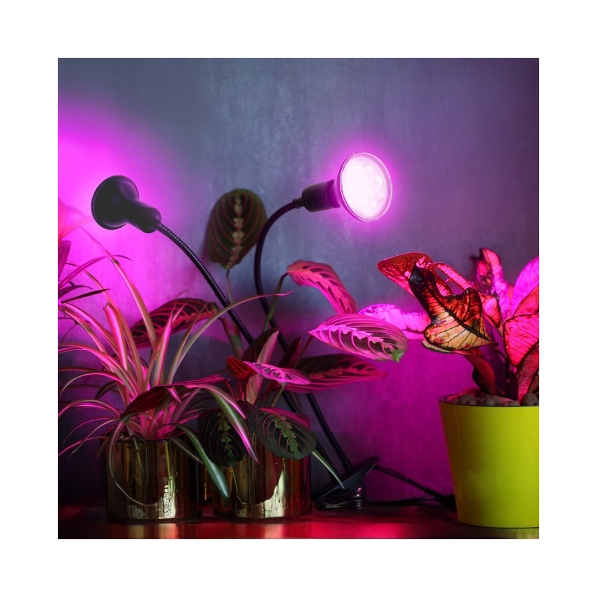 Гъвкава настолна лампа с клипс за отглеждане на растения PLANTY 2xE27/30W/230V черна