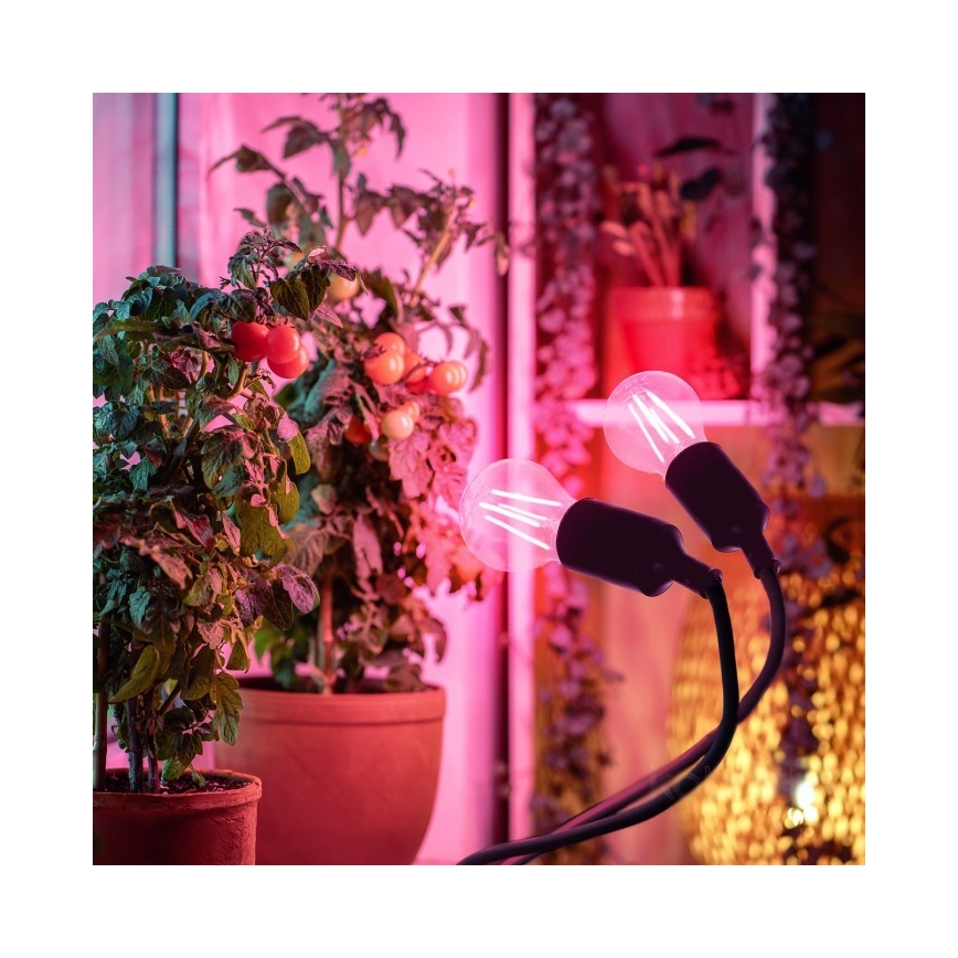 Гъвкава настолна лампа с клипс за отглеждане на растения PLANTY 2xE27/30W/230V черна