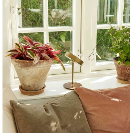 Halo Design 745784 - димируема презареждаема LED настолна лампа ON THE MOVE LED/2,5W/4000 mAh месинг/дърво