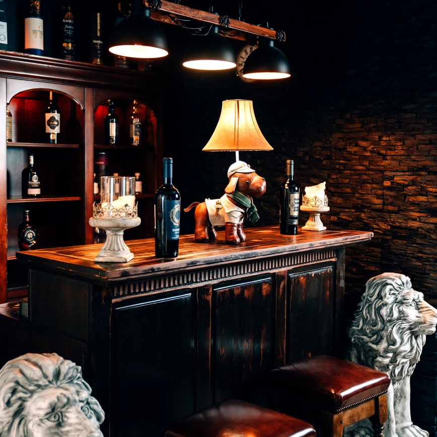 Happy Lamps - LED Детска настолна лампа SPIKE LED/5,4W/230V ловно куче