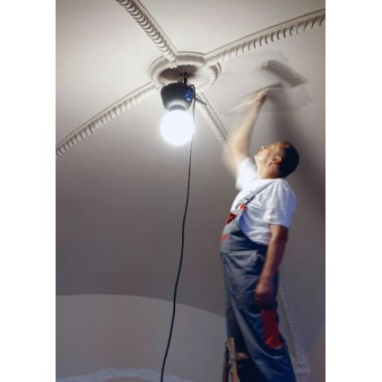 Helios 306-WLG223 - LED Екстериорна техническа лампа WORK GLOBE 2 LED/23W/230V IP44