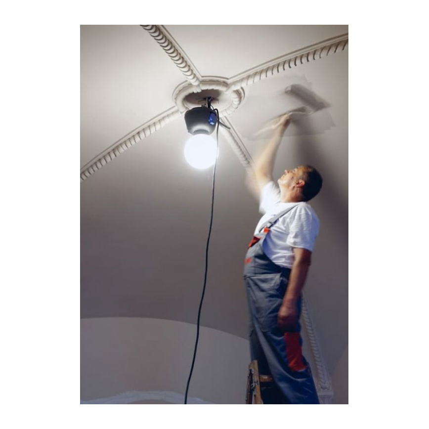 Helios 306-WLG223 - LED Екстериорна техническа лампа WORK GLOBE 2 LED/23W/230V IP44