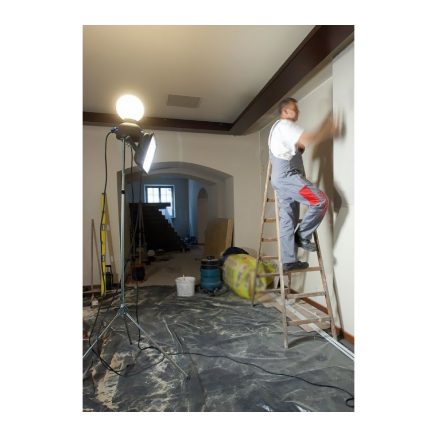 Helios 306-WLG223 - LED Екстериорна техническа лампа WORK GLOBE 2 LED/23W/230V IP44