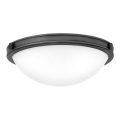 Hinkley - Таванно осветително тяло COLLIER 2xE27/40W/230V Ø 34,6 cm, черно