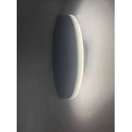 HÖFFTECH - LED външна стенна лампа LED/10W/230V кръгла IP65