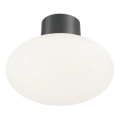 Ideal Lux - Екстериорна лампа за таван CLIO 1xE27/42W/230V IP44 антрацит