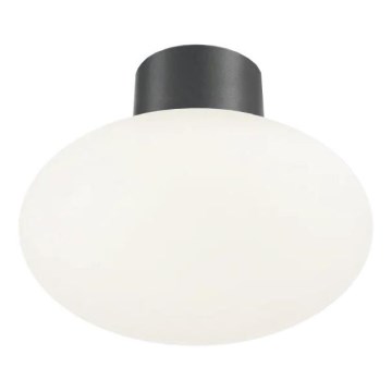 Ideal Lux - Екстериорна лампа за таван CLIO 1xE27/42W/230V IP44 антрацит