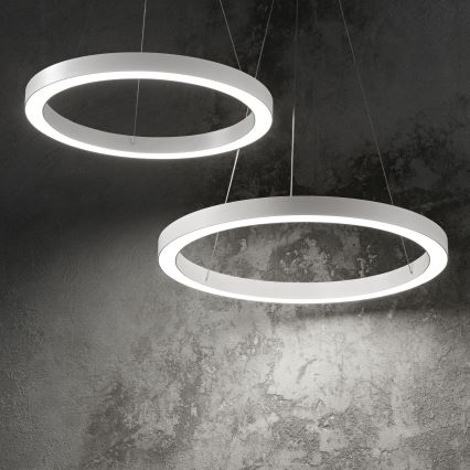 Ideal Lux - LED Пендел ORACLE LED/35W/230V 3000K Ø 70 см CRI 90 бял
