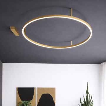 Ideal Lux - LED плафон ORACLE SLIM LED/29W/230V 3000K CRI 90 pr. 50 cm златен