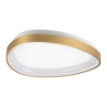 Ideal Lux - LED Плафониера GEMINI LED/23W/230V Ø 42,5 см CRI 90 златист