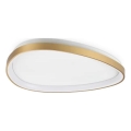 Ideal Lux - LED Плафониера GEMINI LED/30W/230V Ø 61 см CRI 90 златист