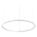Ideal Lux - LED полилей на кабел ORACLE SLIM LED/37W/230V 4000K CRI 90 Ø 70 см бял
