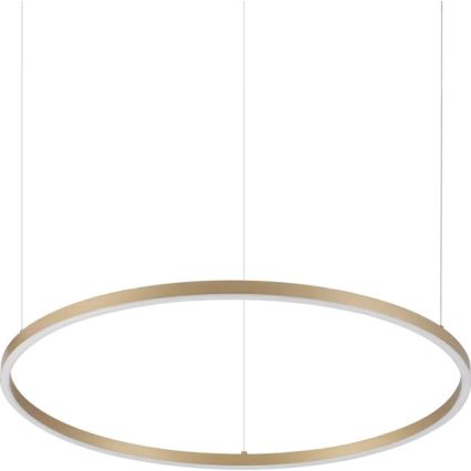 Ideal Lux - LED полилей на кабел ORACLE SLIM LED/37W/230V 3000K CRI 90 pr. 70 cm златен