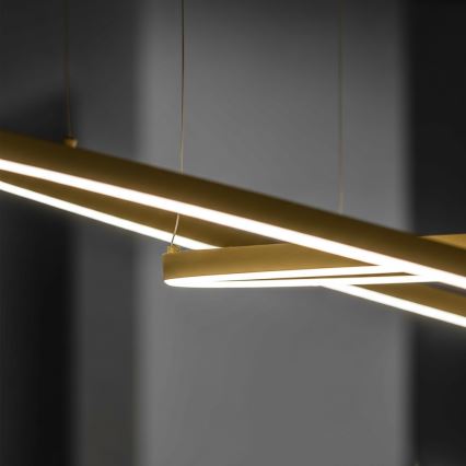 Ideal Lux - LED полилей на кабел ORACLE SLIM LED/81W/230V 3000K CRI 90, диаметър 150 см, златист