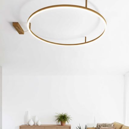 Ideal Lux - LED таванно осветително тяло ORACLE SLIM LED/81W/230V 3000K CRI 90 Ø 150 см златисто