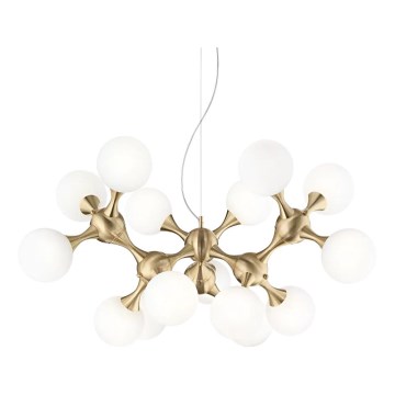 Ideal Lux - Полилей на кабел NODI 15xE14/28W/230V Ø 105 cm месинг/бял