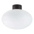 Ideal Lux - Външно таванно осветително тяло CLIO 1xE27/42W/230V IP44 черно