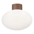 Ideal Lux - Външно таванно осветително тяло CLIO 1xE27/42W/230V IP44 кафяво