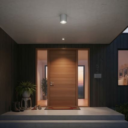 Ideal Lux - Външно точково осветително тяло GUN 1xGU10/28W/230V IP55 сиво