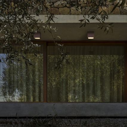 Ideal Lux - Външно точково осветително тяло TECHO 1xGU10/20W/230V 9x9 cm IP54 кафяво