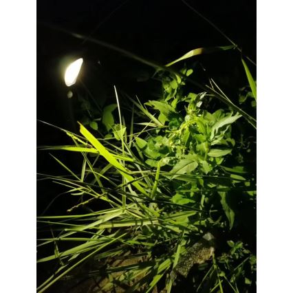 LED Соларна лампа със сензор LED/1W/3,7V 6000K IP65 1500 mAh