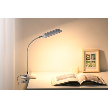 LED+CCT Димируема настолна лампа с щипка CLIP LED/7,5W/230V 3000/4200/5000K бяла