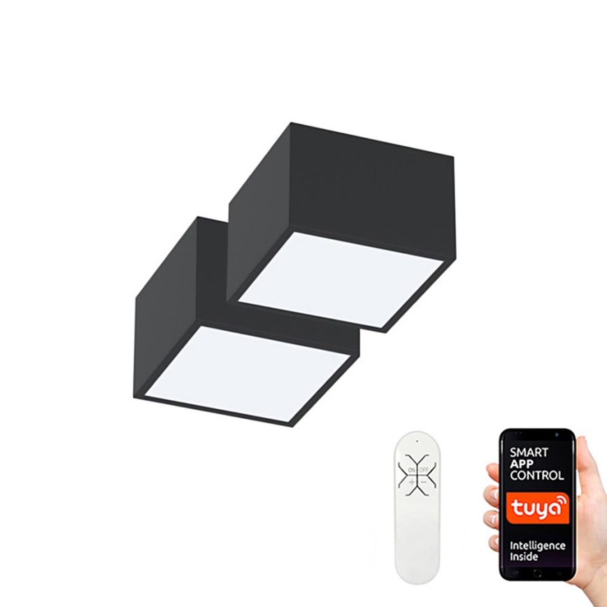 Immax Neo 07074L-15BD - К-кт 2x LED Димируем плафон CANTO 2xLED/12W/230V + дистанционно управление Tuya