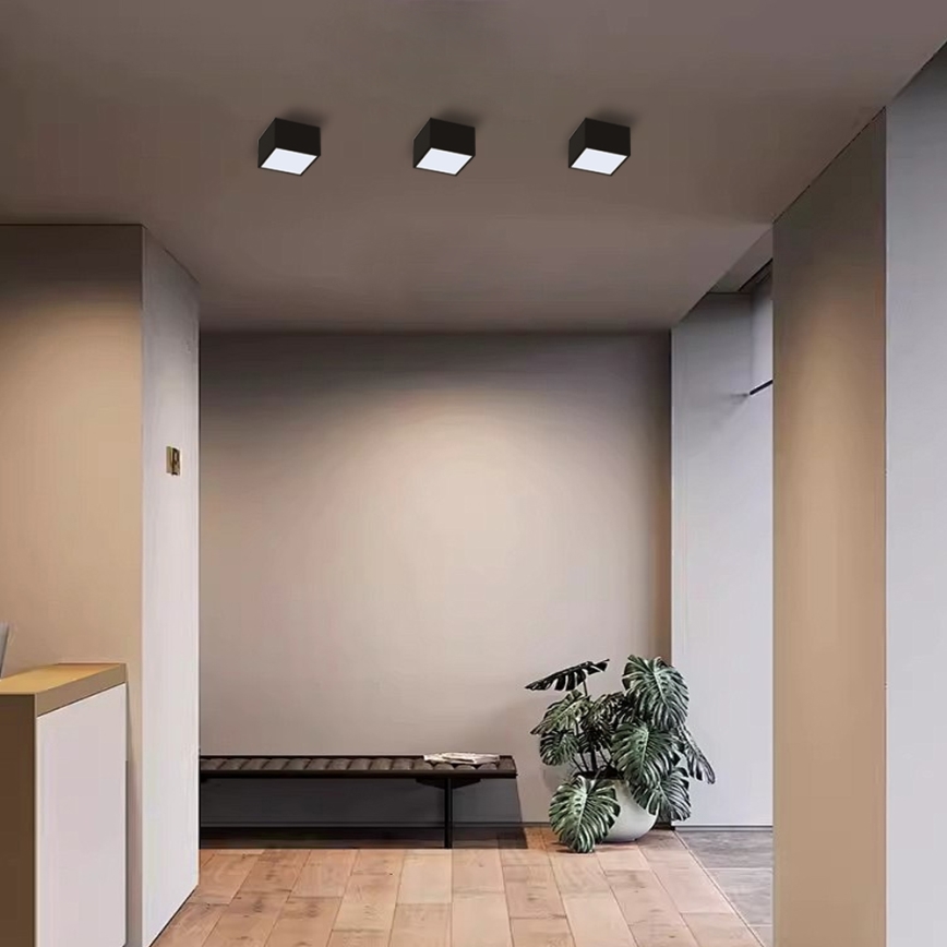 Immax Neo 07074L-15BD - К-кт 2x LED Димируем плафон CANTO 2xLED/12W/230V + дистанционно управление Tuya