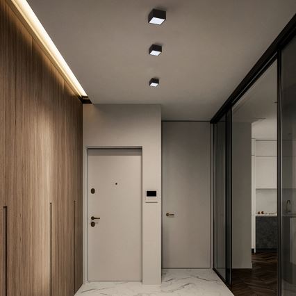 Immax Neo 07074L-15BD - К-кт 2x LED Димируем плафон CANTO 2xLED/12W/230V + дистанционно управление Tuya