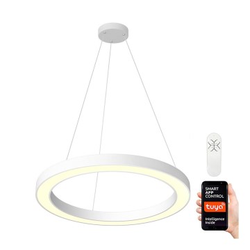 Immax NEO 07092L - LED Димируем висящ полилей PASTEL LED/66W/230V 95см + дистанционно Tuya