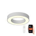 Immax NEO 07095L - LED Димируема лампа PASTEL LED/52W/230V 60 см Tuya + дистанционно управление