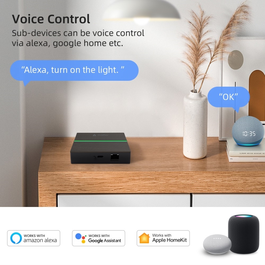 Immax NEO 07117-5 - Умен MATTER BRIDGE Zigbee 3.0 230V Tuya Wi-Fi