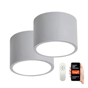 Immax NEO 07143-GR15BD - К-кт 2бр. димируеми лампи RONDATE LED/12W/230V Tuya сиви + дистанционно