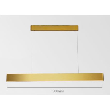 Immax NEO 07157-G120X - LED RGB+CCTW Димируем пендел MILANO LED/40W/230V Tuya златист
