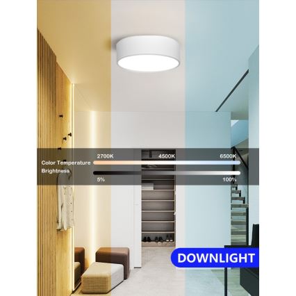 Immax NEO 07204L - LED Димируем плафон RONDATE LED/18W/230V 3000-6000K бял Tuya + дистанционно управление