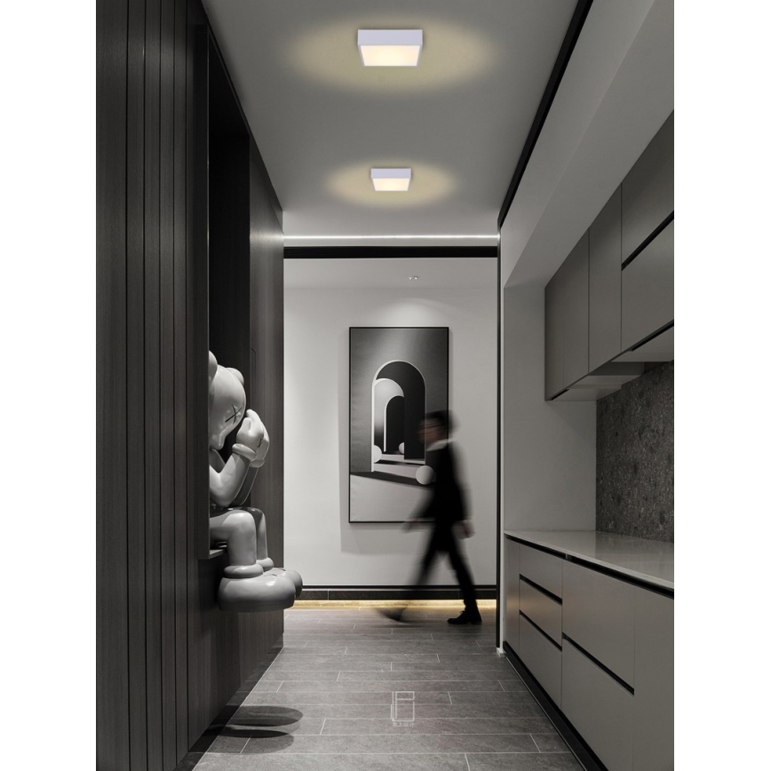 Immax NEO 07238L - LED Димируем плафон CANTO LED/22W/230V бял Tuya + дистанционно управление
