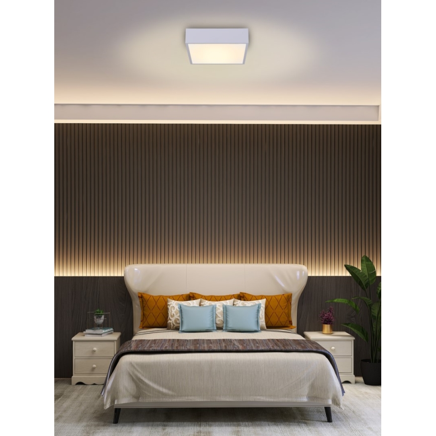 Immax NEO 07238L - LED Димируем плафон CANTO LED/22W/230V бял Tuya + дистанционно управление