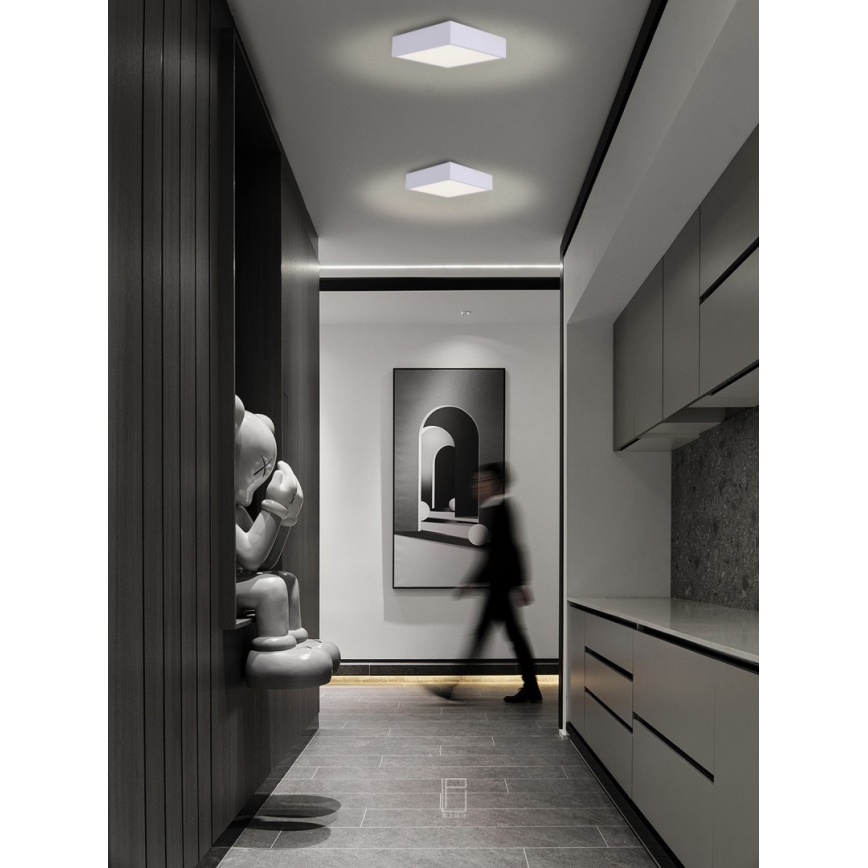 Immax NEO 07238L - LED Димируем плафон CANTO LED/22W/230V бял Tuya + дистанционно управление