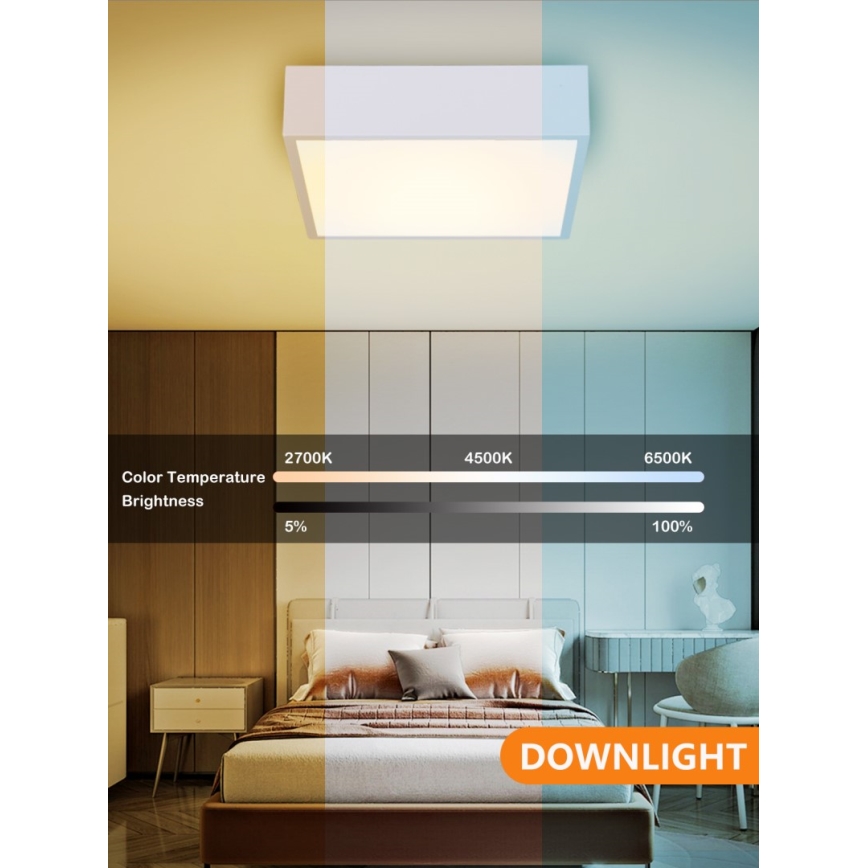 Immax NEO 07238L - LED Димируем плафон CANTO LED/22W/230V бял Tuya + дистанционно управление