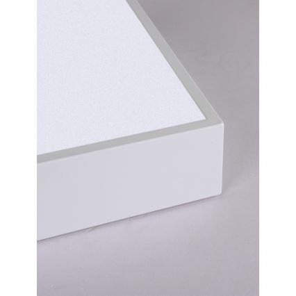 Immax NEO 07238L - LED Димируем плафон CANTO LED/22W/230V бял Tuya + дистанционно управление