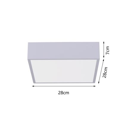 Immax NEO 07238L - LED Димируем плафон CANTO LED/22W/230V бял Tuya + дистанционно управление